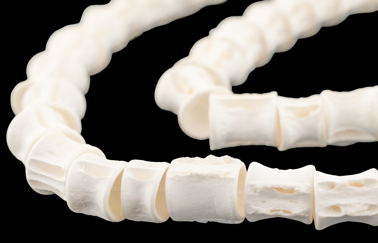 The Bead Chest Elongated Fish Bone Beads: Natural Handcrafted West African Jewelry Supply | Full Strand